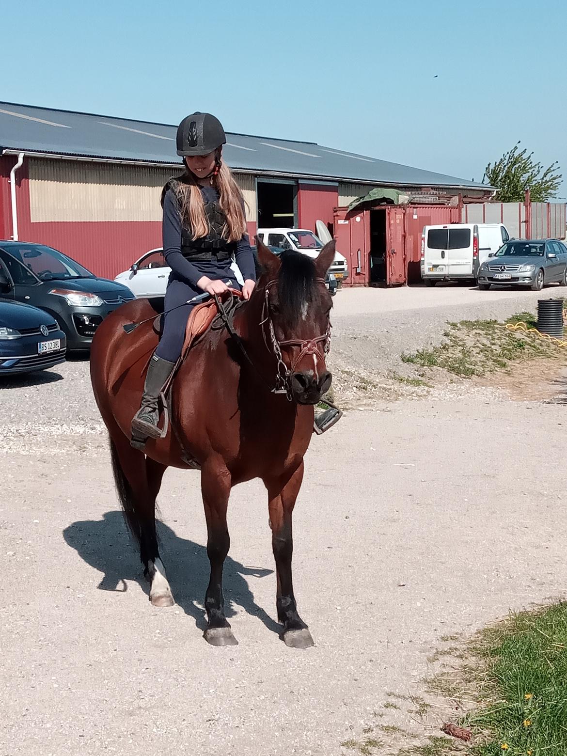 Anden særlig race Lucy Lou (Tidligere part)  - Klar til tur :) billede 5