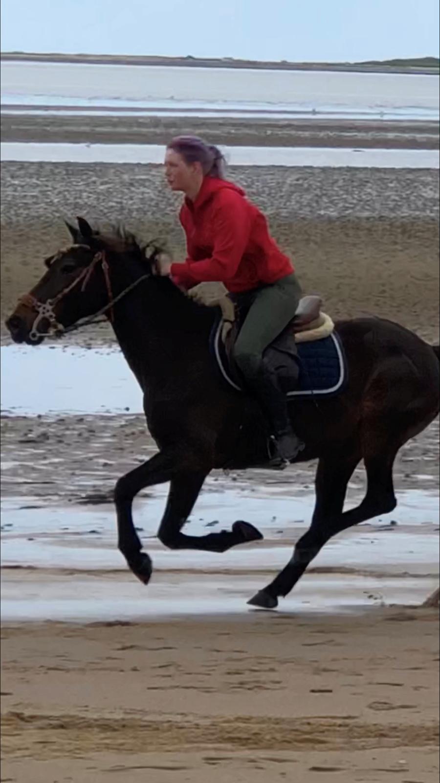 Anden særlig race UN~Kina billede 13