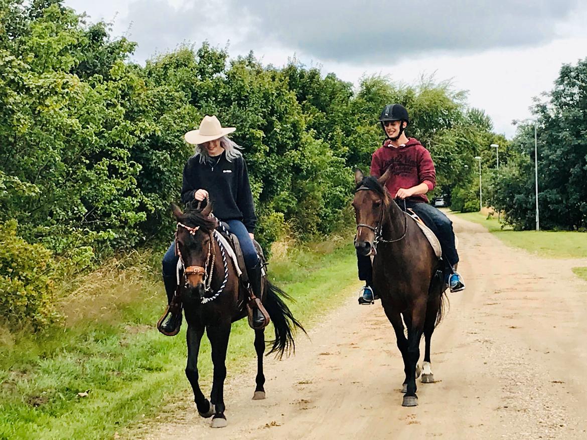 Anden særlig race UN~Kina billede 14