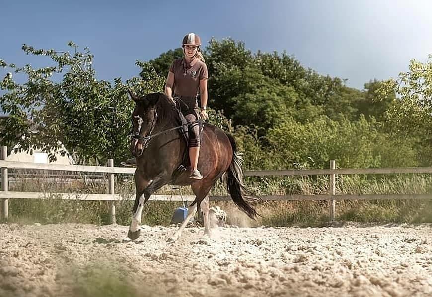 Anden særlig race Bobbiesocks May Beauty billede 11