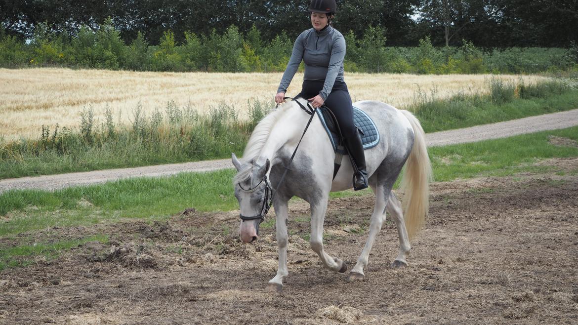 Anden særlig race Bagera - Juli 2020 billede 5