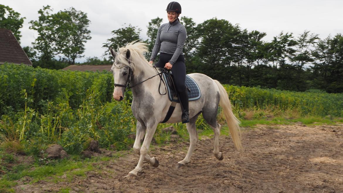 Anden særlig race Bagera - Juli 2020 billede 3