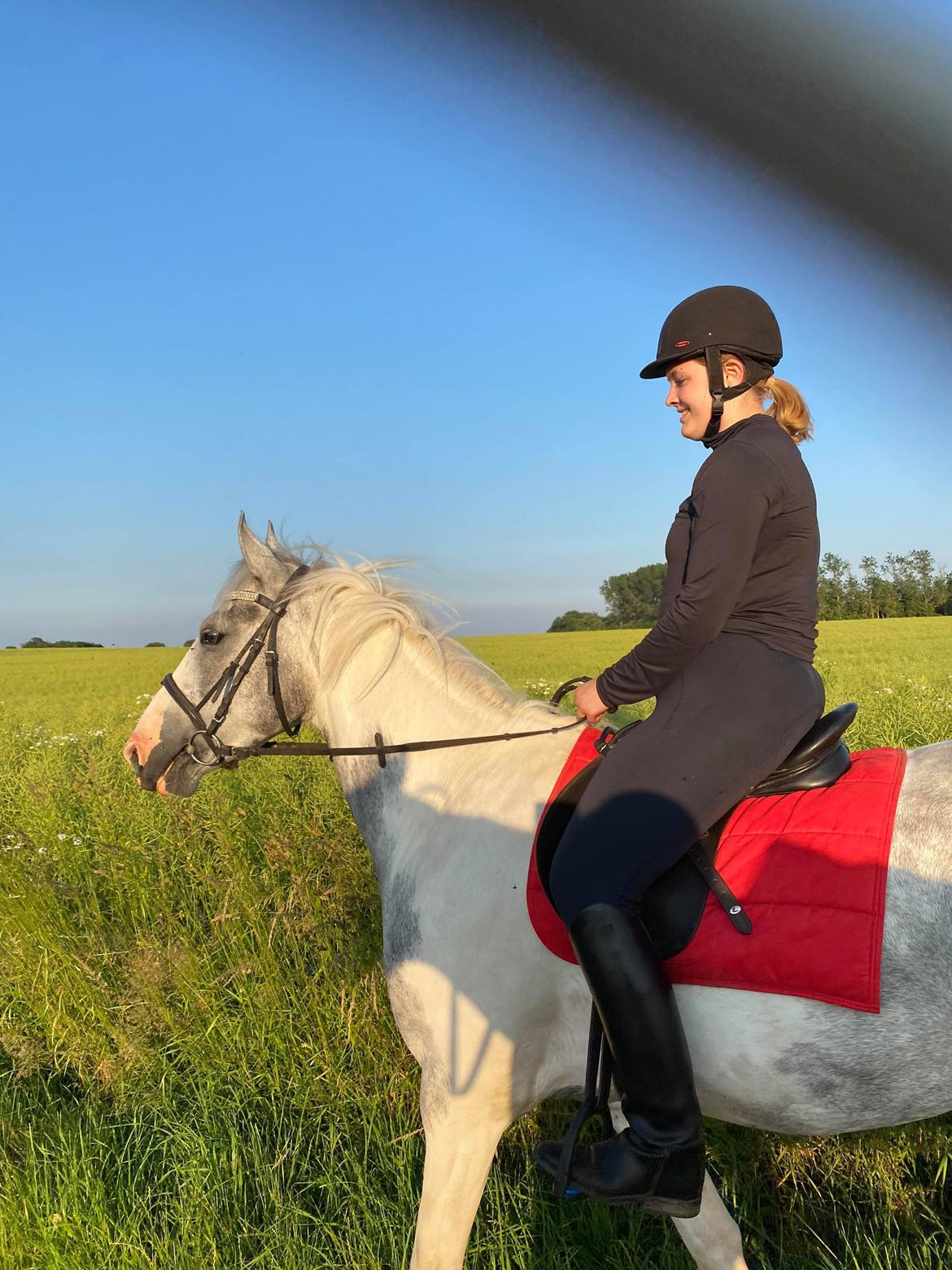 Anden særlig race Bagera - første gang han blev redet ved trafikeret vej start juli 2020 billede 2