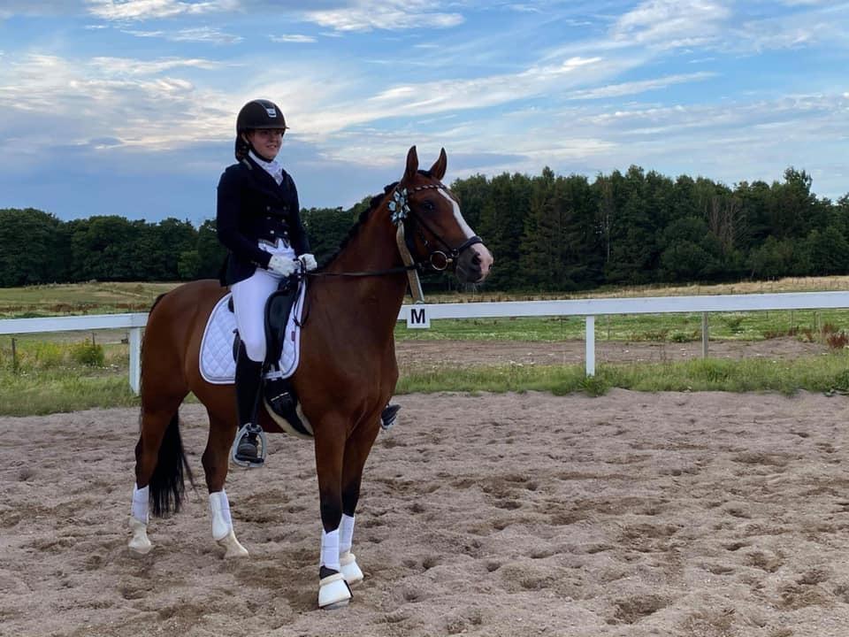 DSP Nørlunds vancouver billede 6