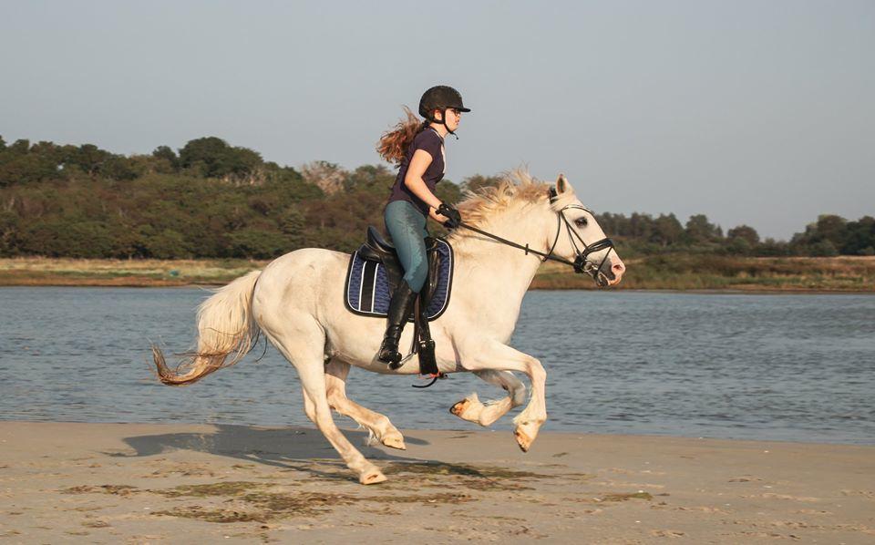 Anden særlig race Irish Patch  *I.P* [Himmel hest] - Ja, han smed mig af bag efter billede 7