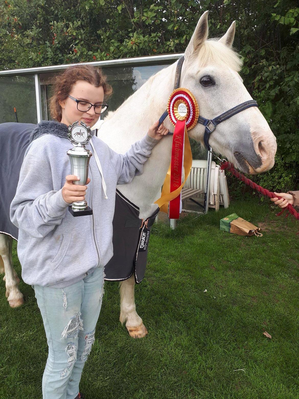 Anden særlig race Irish Patch  *I.P* [Himmel hest] - Har du mad eller hvad? billede 8