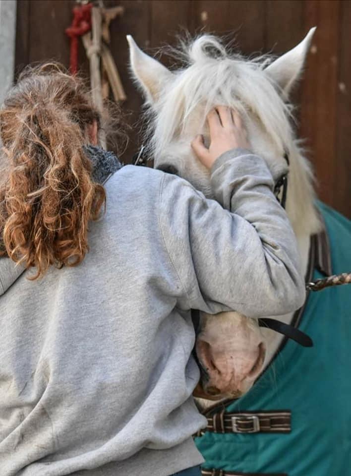 Anden særlig race Irish Patch  *I.P* [Himmel hest] billede 10