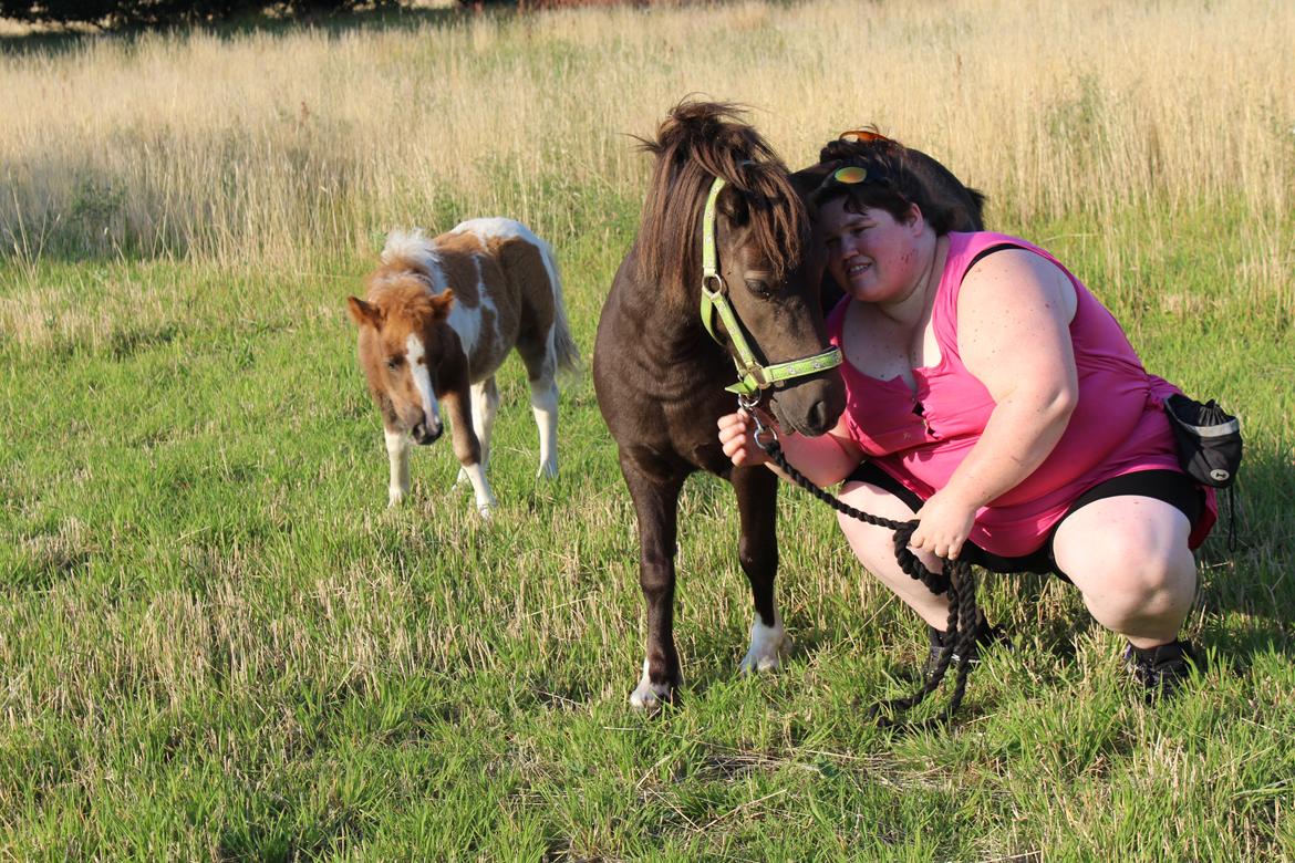 Shetlænder Coco - 8-8-2020. fotoshoot med Coco og Indi billede 15