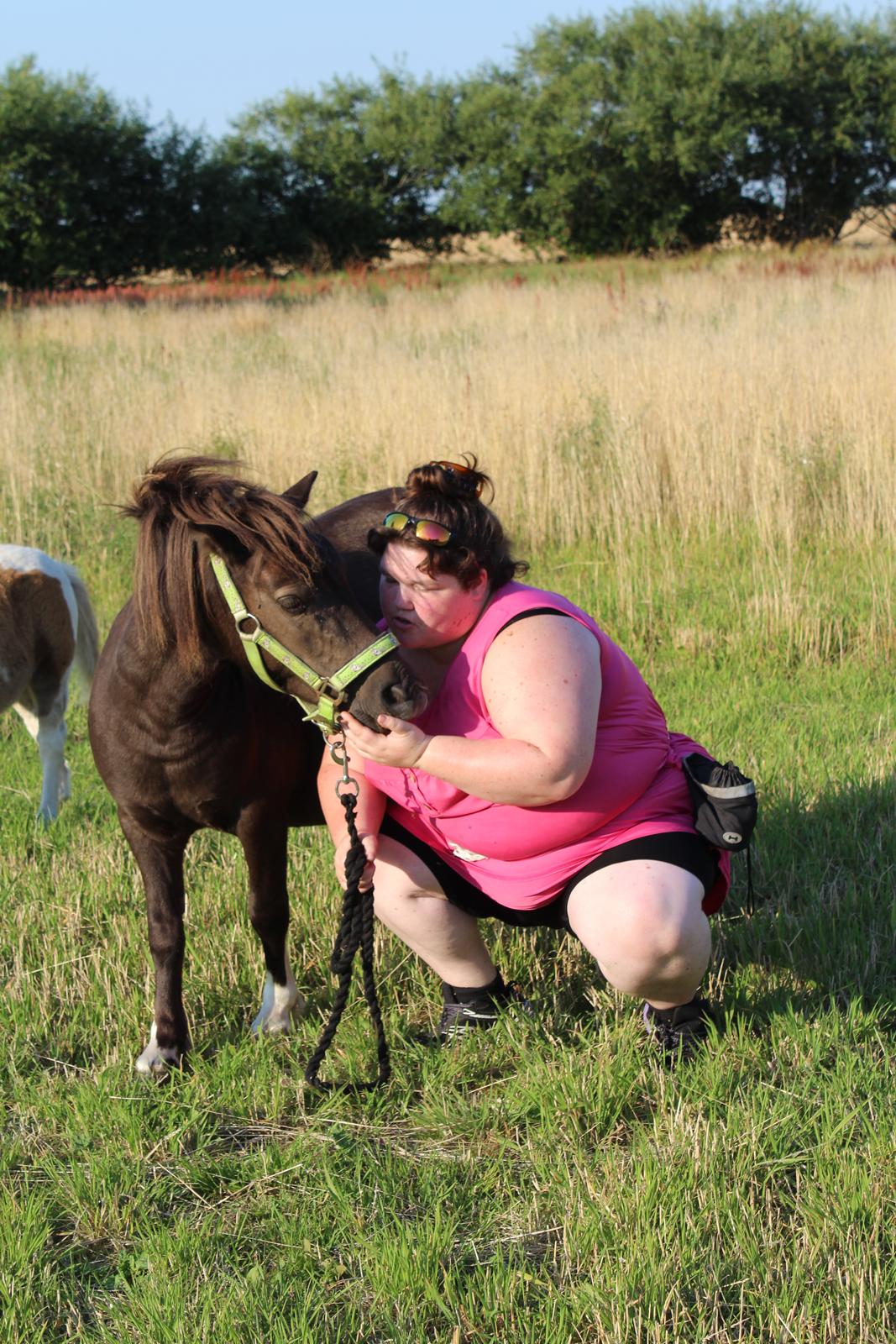 Shetlænder Coco - 8-8-2020. fotoshoot med Coco og Indi billede 16