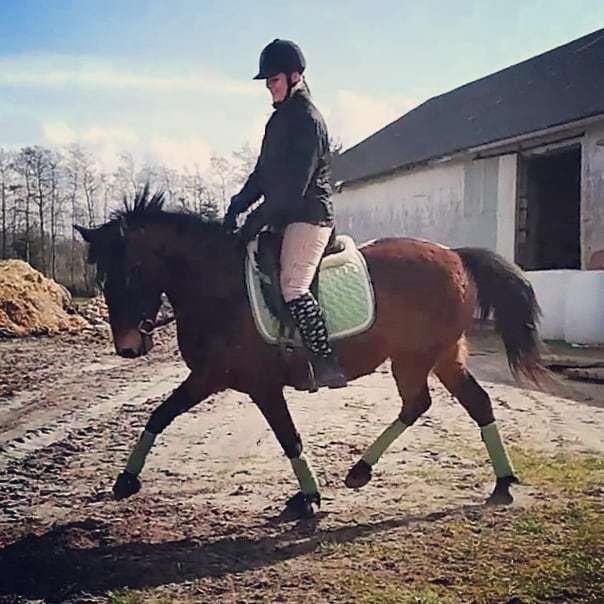 Anden særlig race Grønvangs Edward |Eddie| billede 22