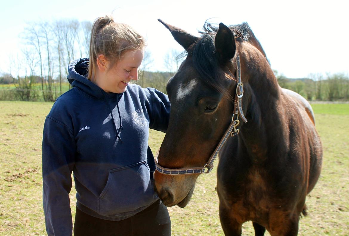 Anden særlig race Grønvangs Edward |Eddie| billede 12