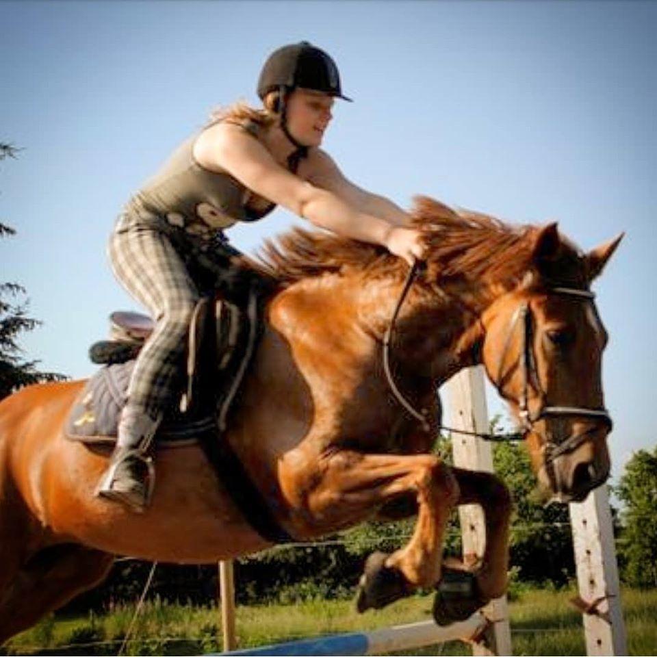 Anden særlig race Grønvangs Quinzy [R.I.P] billede 14