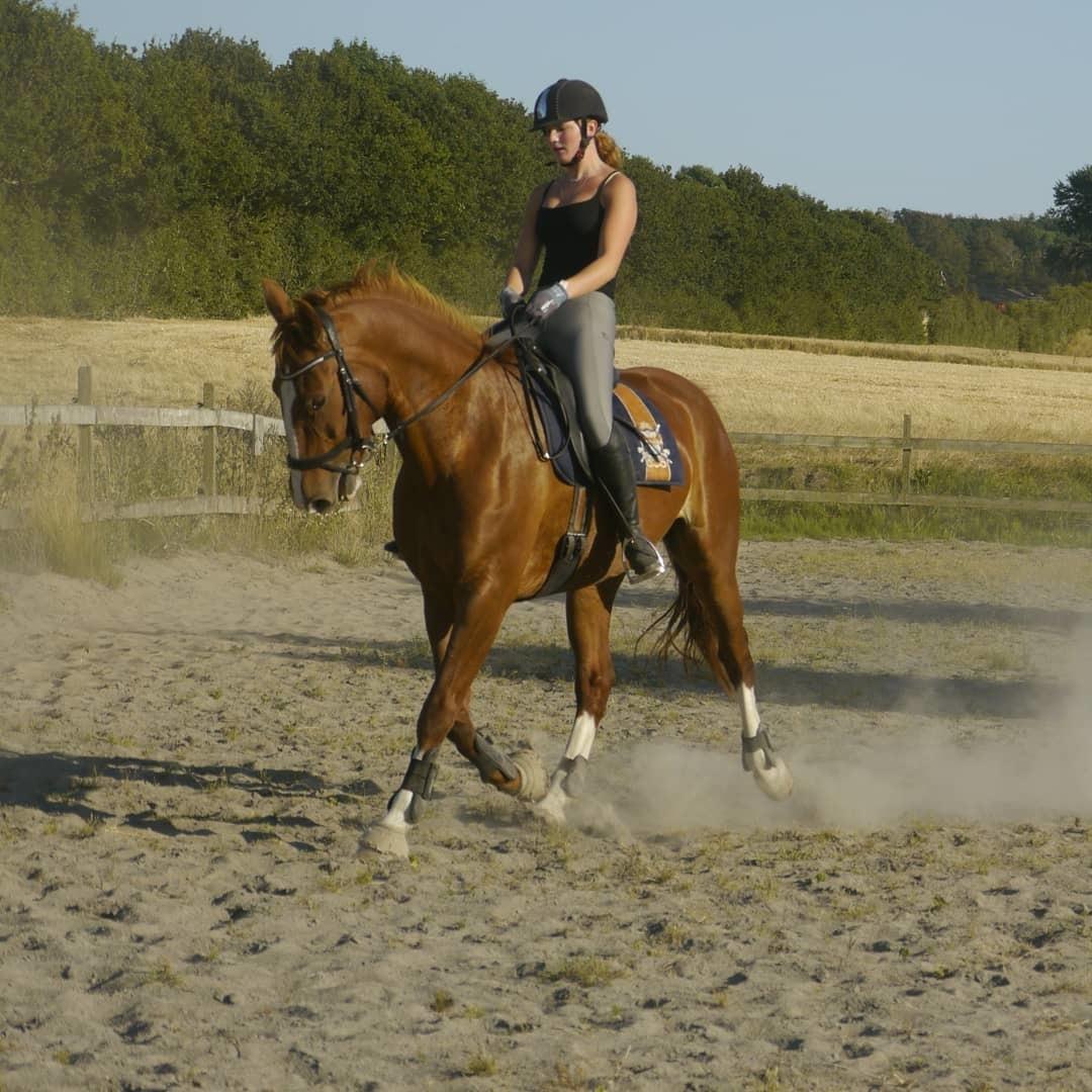 Frederiksborg Hedevangs viva billede 5