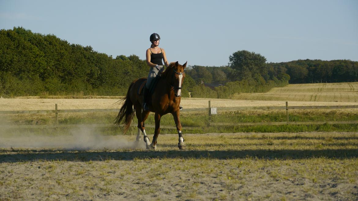 Frederiksborg Hedevangs viva billede 2