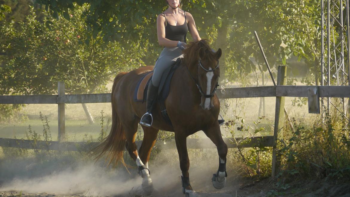 Frederiksborg Hedevangs viva billede 3