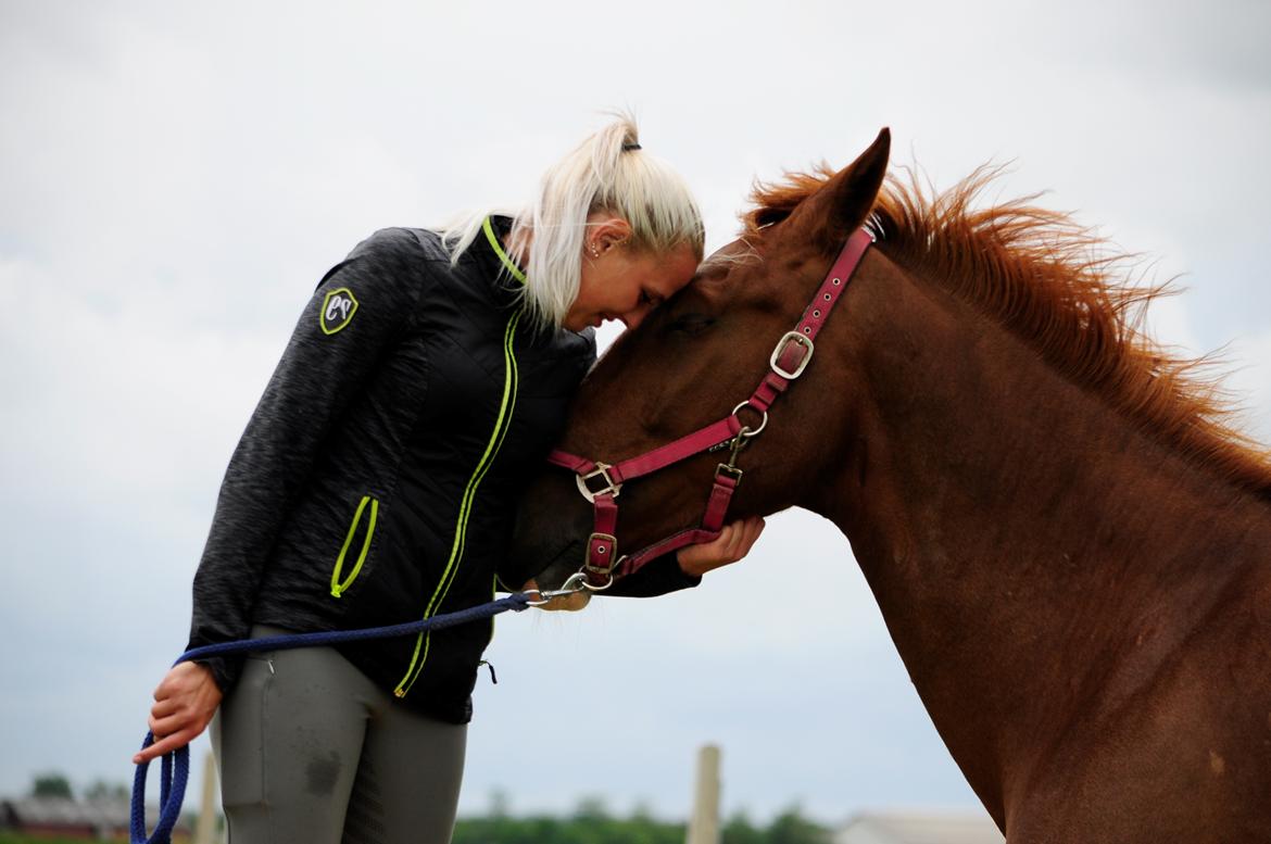 Frederiksborg Hedevangs viva billede 19