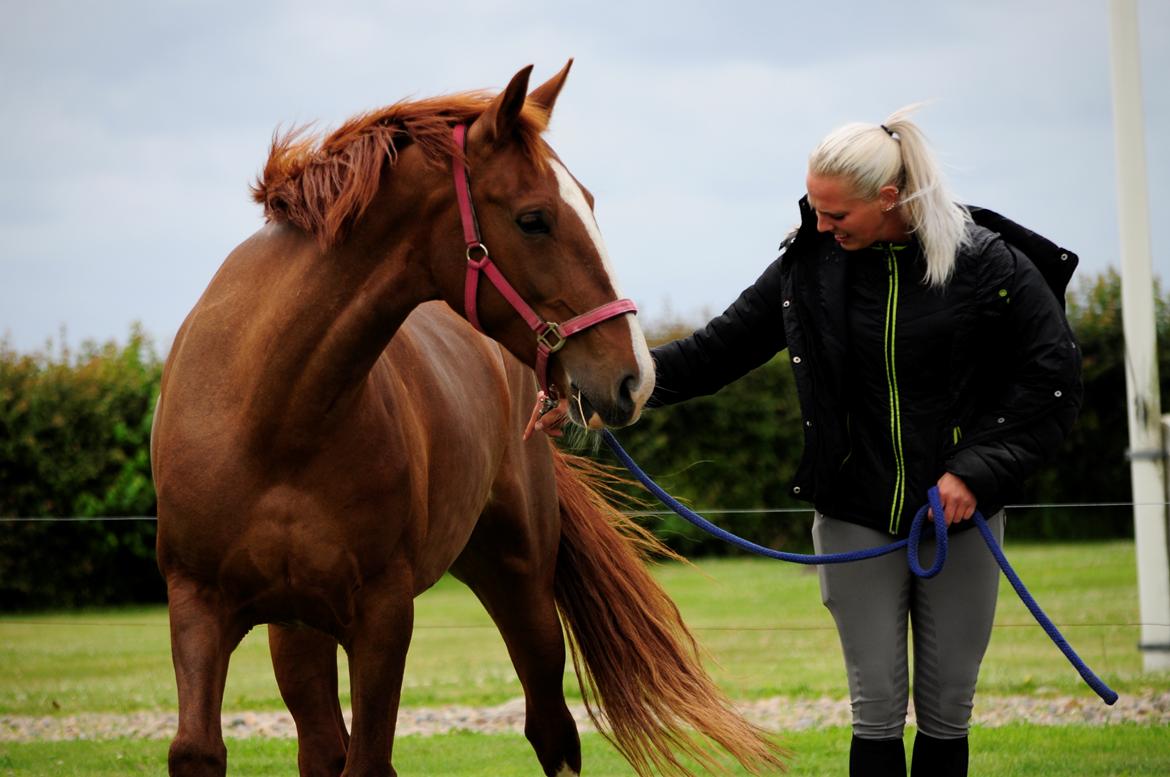 Frederiksborg Hedevangs viva billede 18