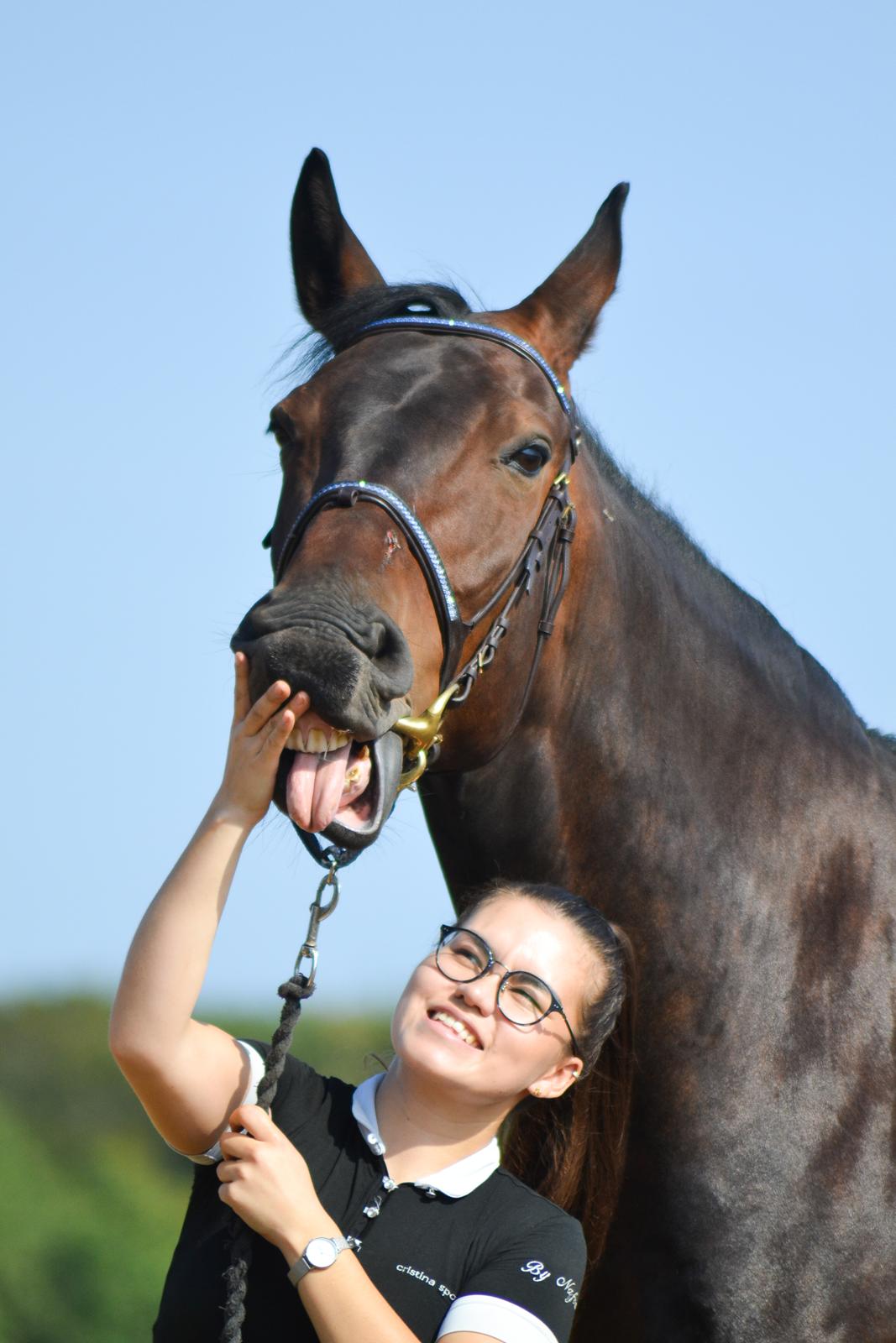 Anden særlig race Nyskovens silas af skovsøgård billede 15