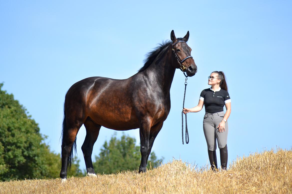 Anden særlig race Nyskovens silas af skovsøgård billede 2