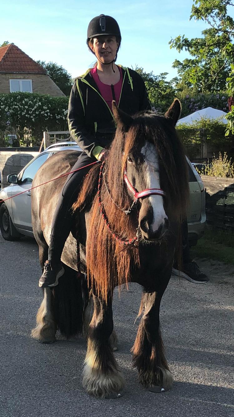 Tinker Sanora - På aftenstur billede 18