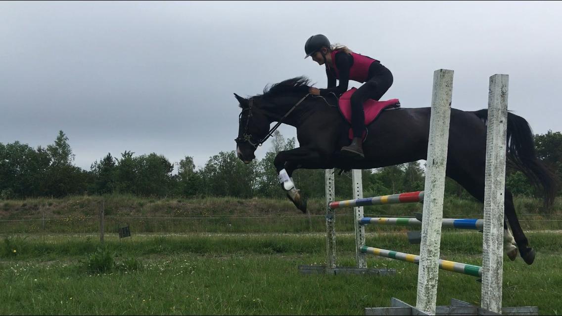 Anden særlig race Starlight - Min veninde og Starlight der flyver over 1 meter, jeg er selv for nervøs til at springe højt :) billede 2