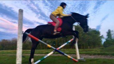 Anden særlig race Starlight - Vi springer et kryds :D billede 12