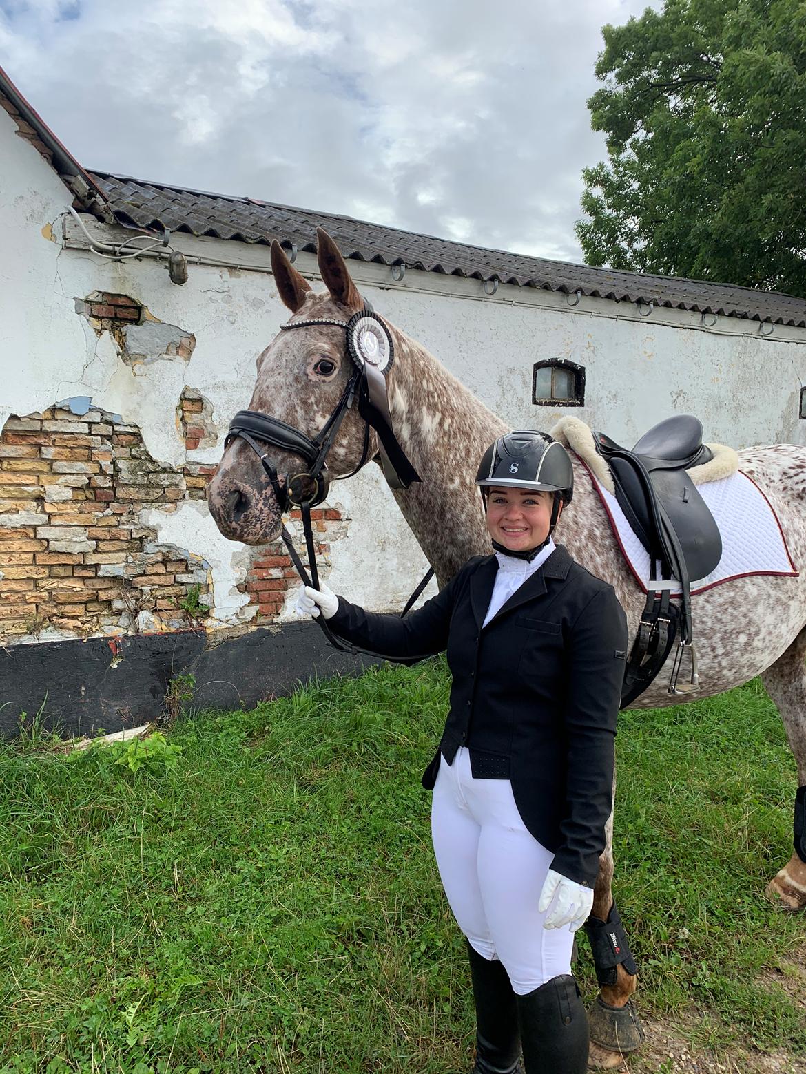 Anden særlig race Star billede 10