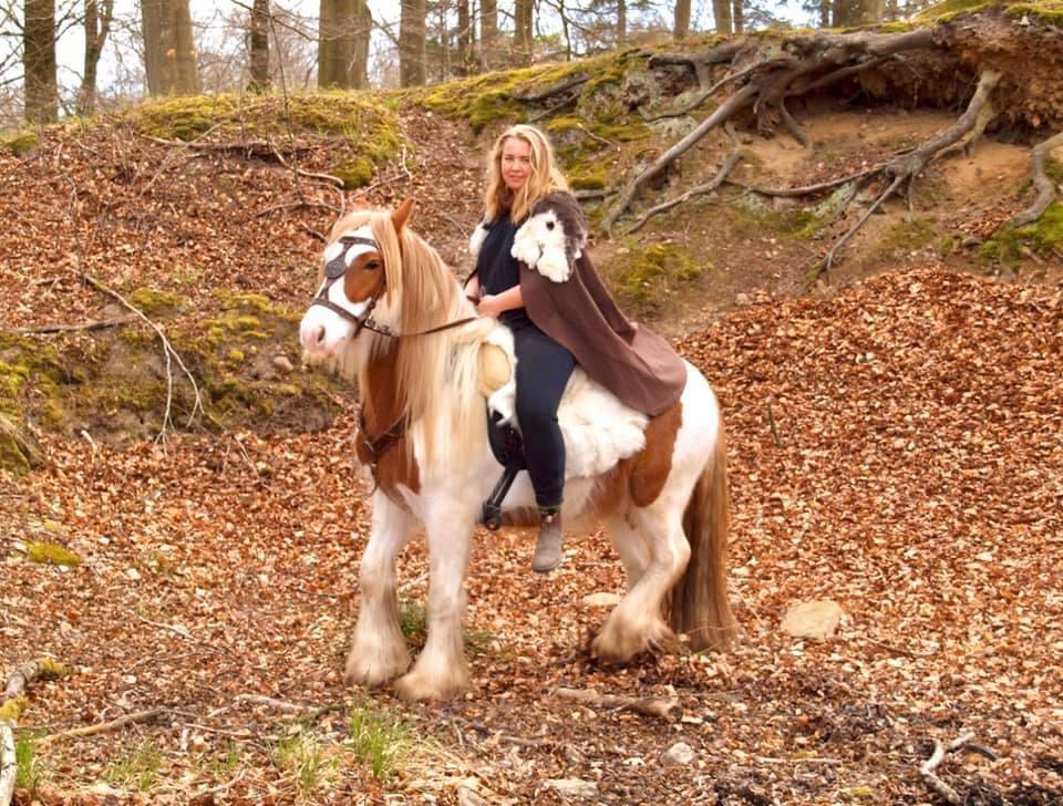 Irish Cob Nydal's Spencer - 19/05/20 mit outfit er langt fra som jeg vil have det, men syntes billederne blev ret fine, alt taget i betragtning. billede 3