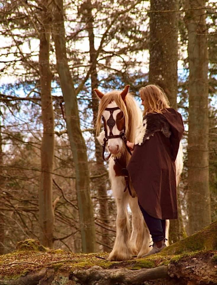 Irish Cob Nydal's Spencer - 19/05/20 billede 2