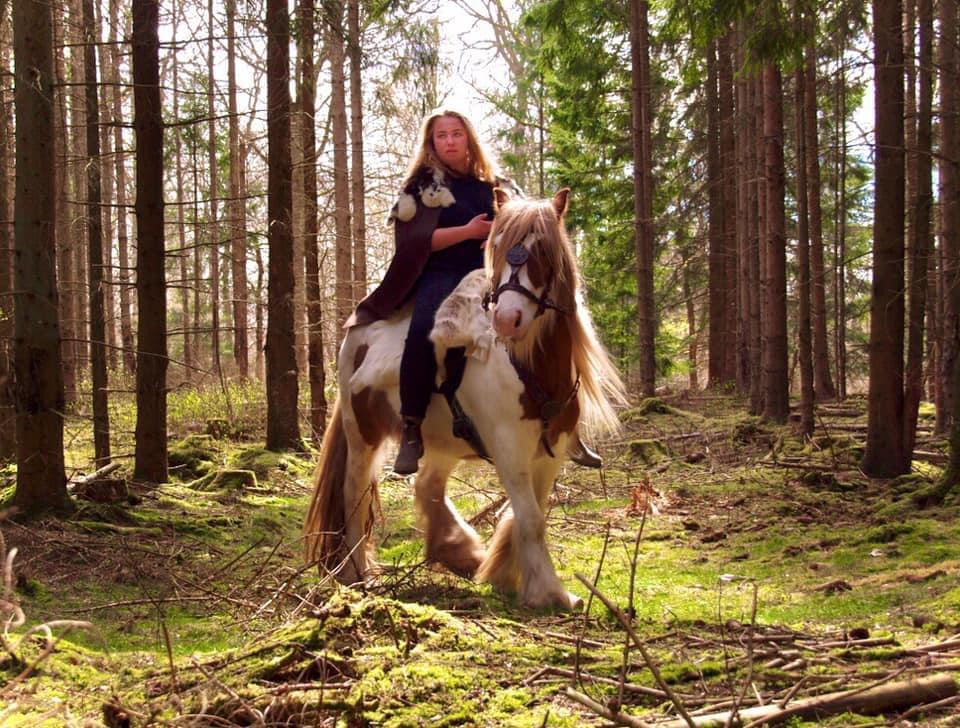 Irish Cob Nydal's Spencer - 19/05/20 min veninde som har et godt kamera var ude og tage nogle fantasy billeder af mig og Spencer billede 1