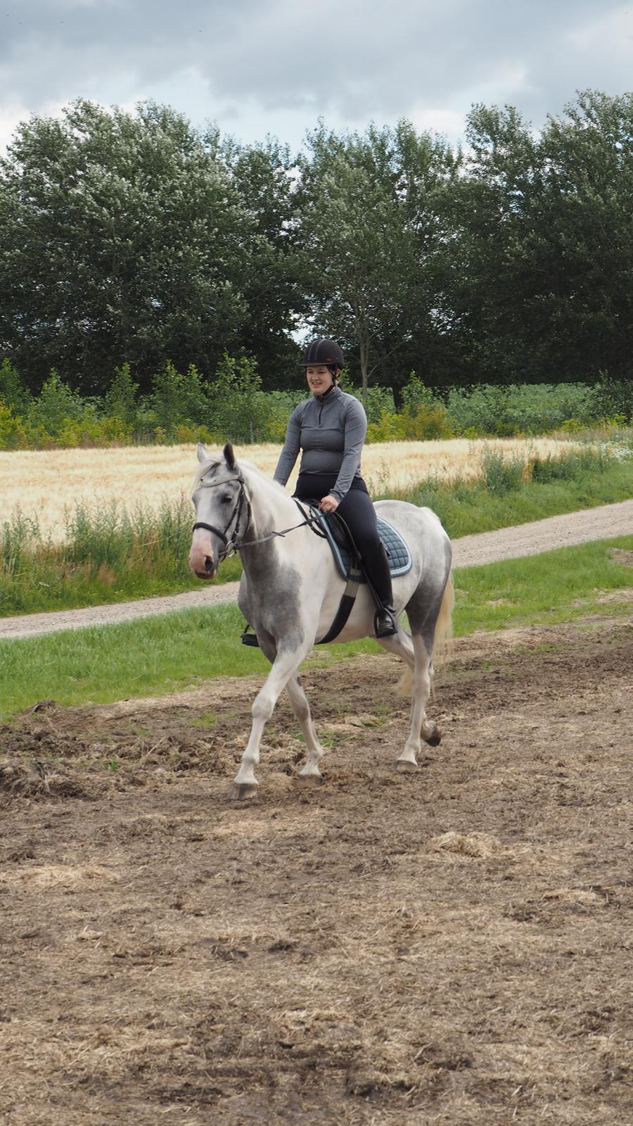 Anden særlig race Bagera billede 6