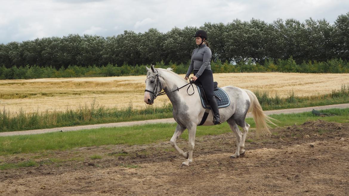 Anden særlig race Bagera billede 9