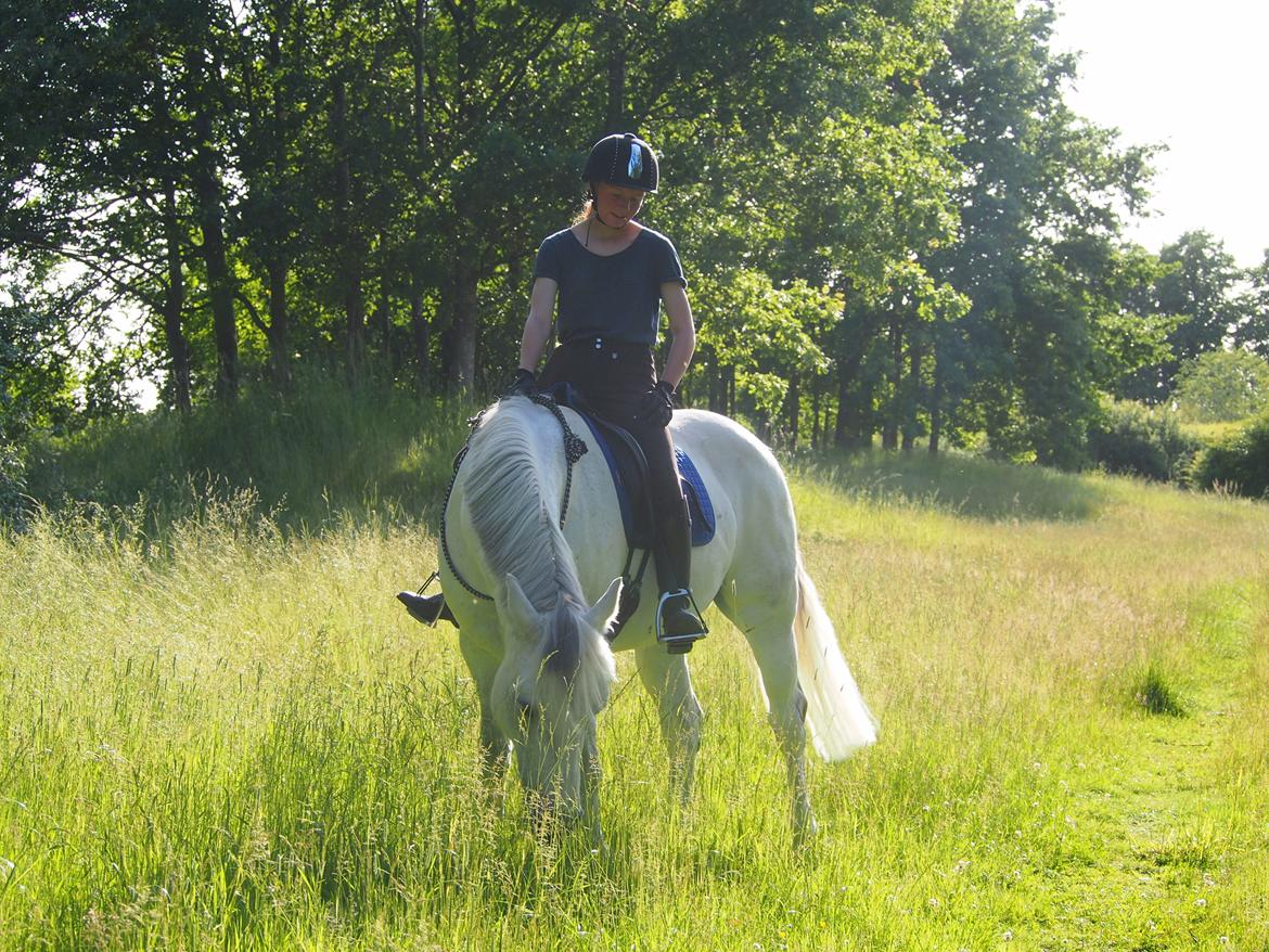 Connemara Hedegårdens Isabella billede 12
