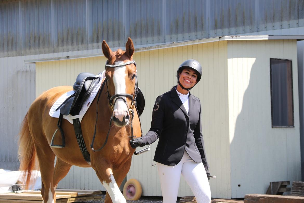 Dansk Varmblod Sakura's Cornelia billede 4