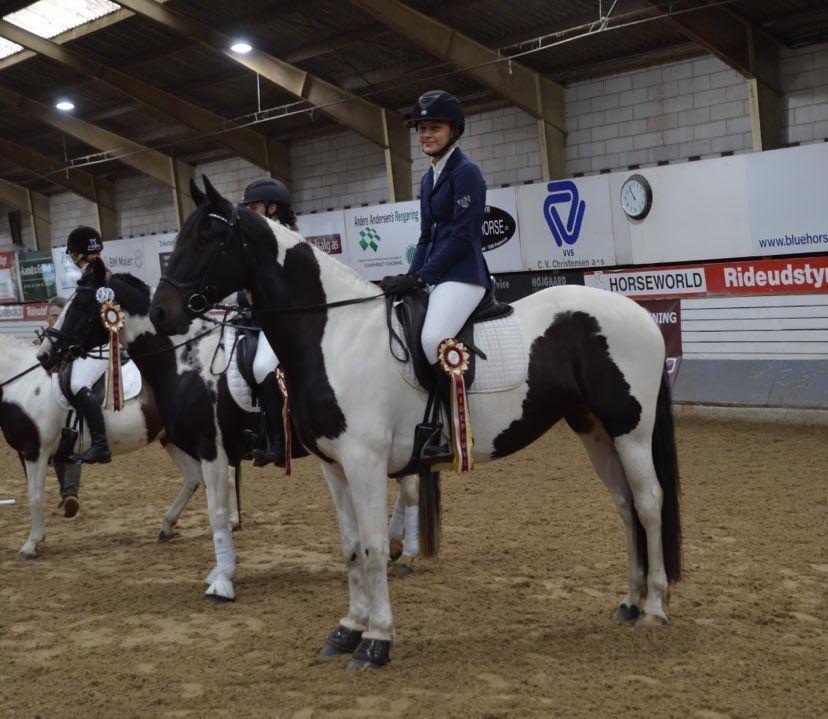 Barockpinto Halima af dorotheasminde - bestået ride prøve med 820 point billede 2