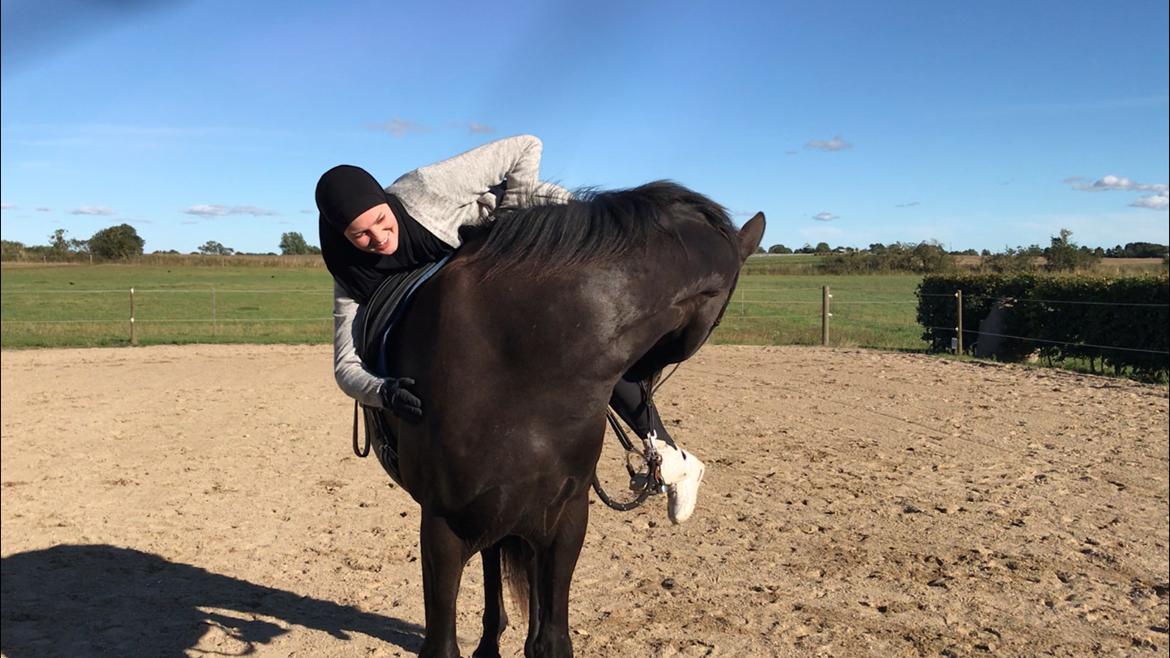 Dansk Varmblod Zorro - Ryttertilvænning - Sommer 2020 (1. gang liggende på ryggen) billede 5