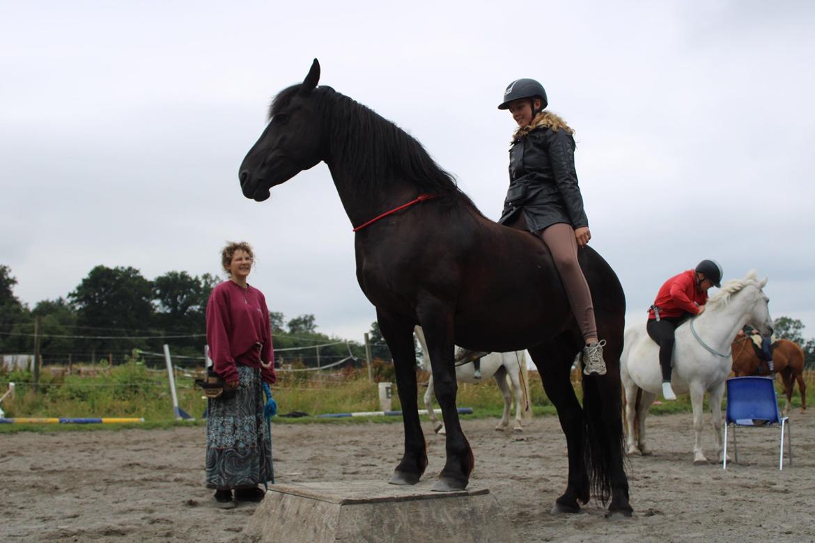 Anden særlig race Fronja (Gwen) billede 14