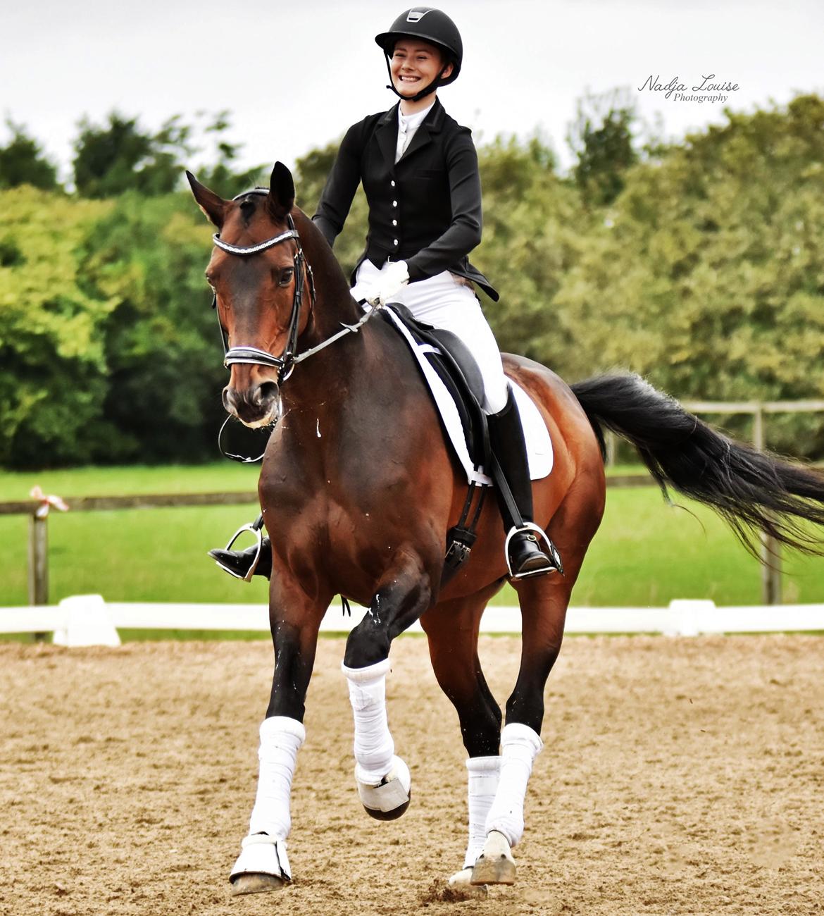 Dansk Varmblod Kjærholm's Médoc *Himmelhest* billede 18