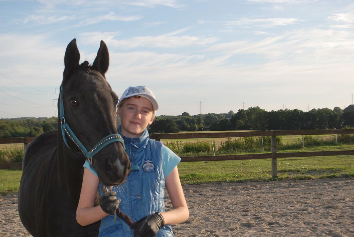 DSP Vasehøjs Lancelot billede 8