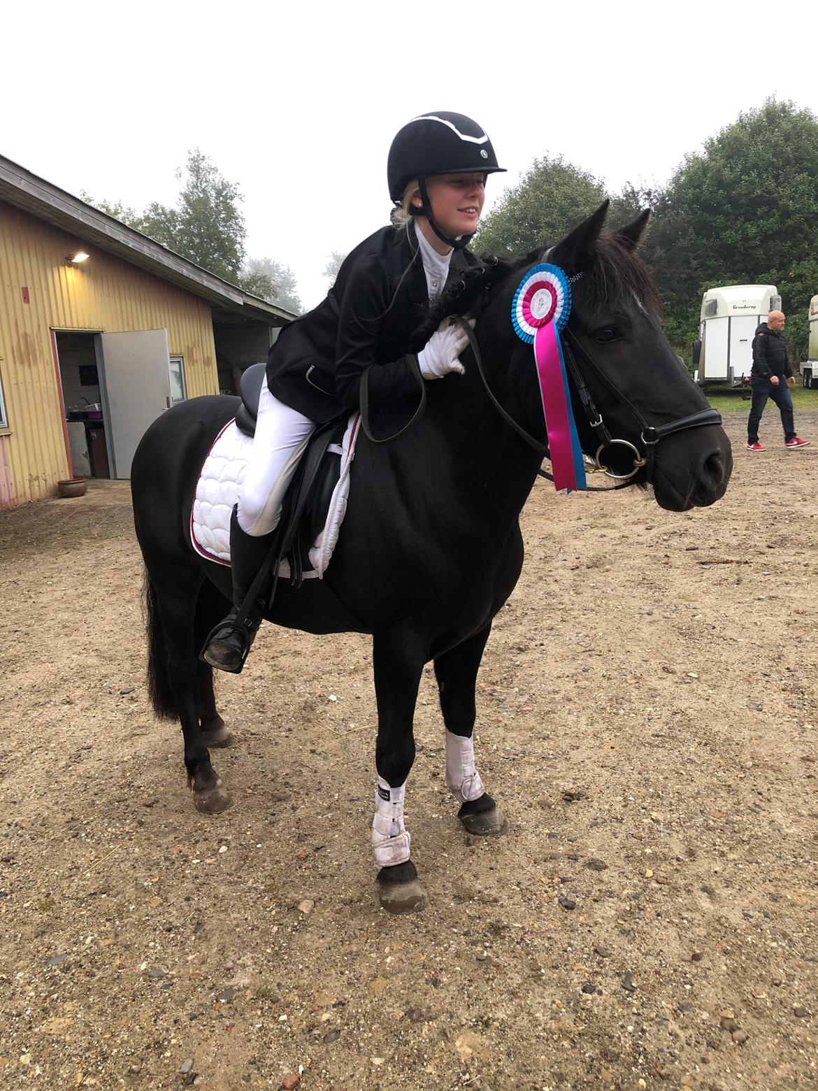 Anden særlig race Stalden's Noah billede 16