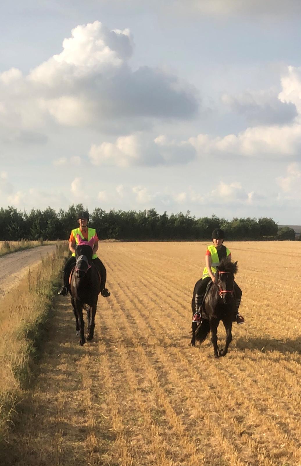 Anden særlig race Stalden's Noah billede 18