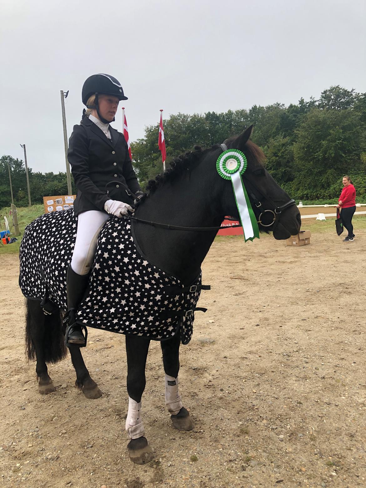 Anden særlig race Stalden's Noah billede 12