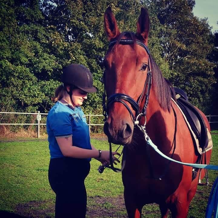 Anden særlig race Gniden (Tops) - Da jeg var ude og prøve ham september 2020 billede 13