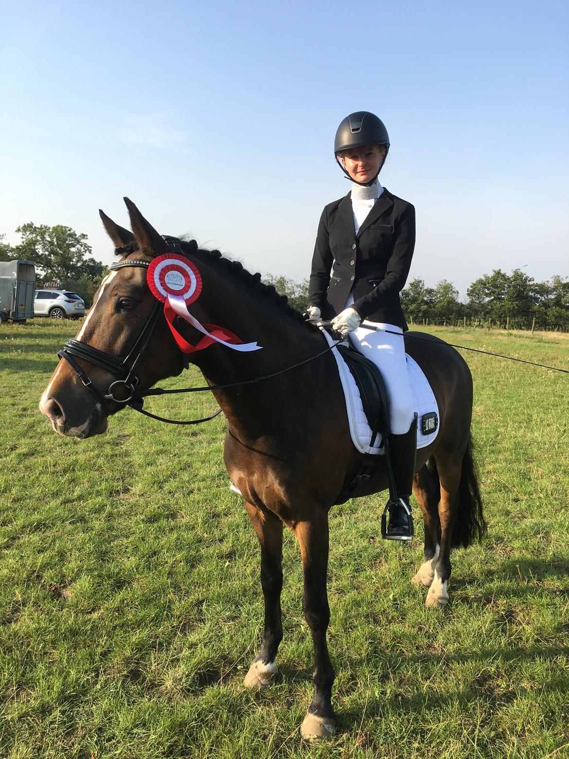 New Forest Bryggergårdens Bacardi billede 6