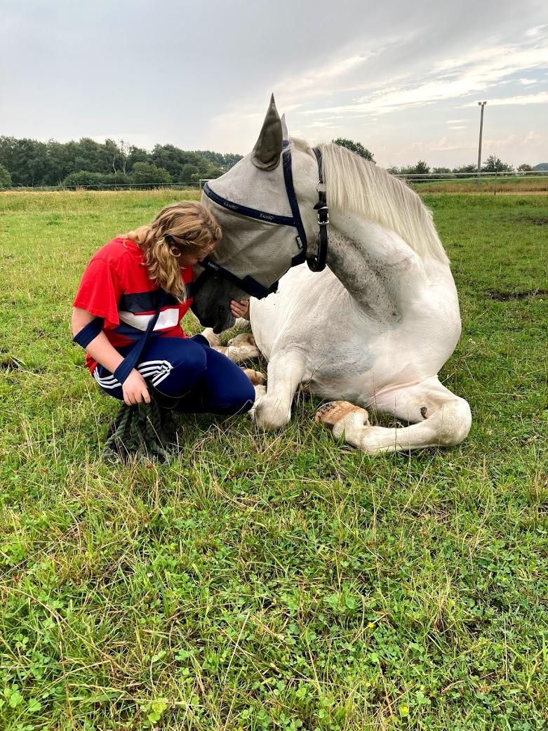 Hollandsk Varmblod Santana - Lur på folden, her er jeg stadig med slynge - august ´20 billede 15