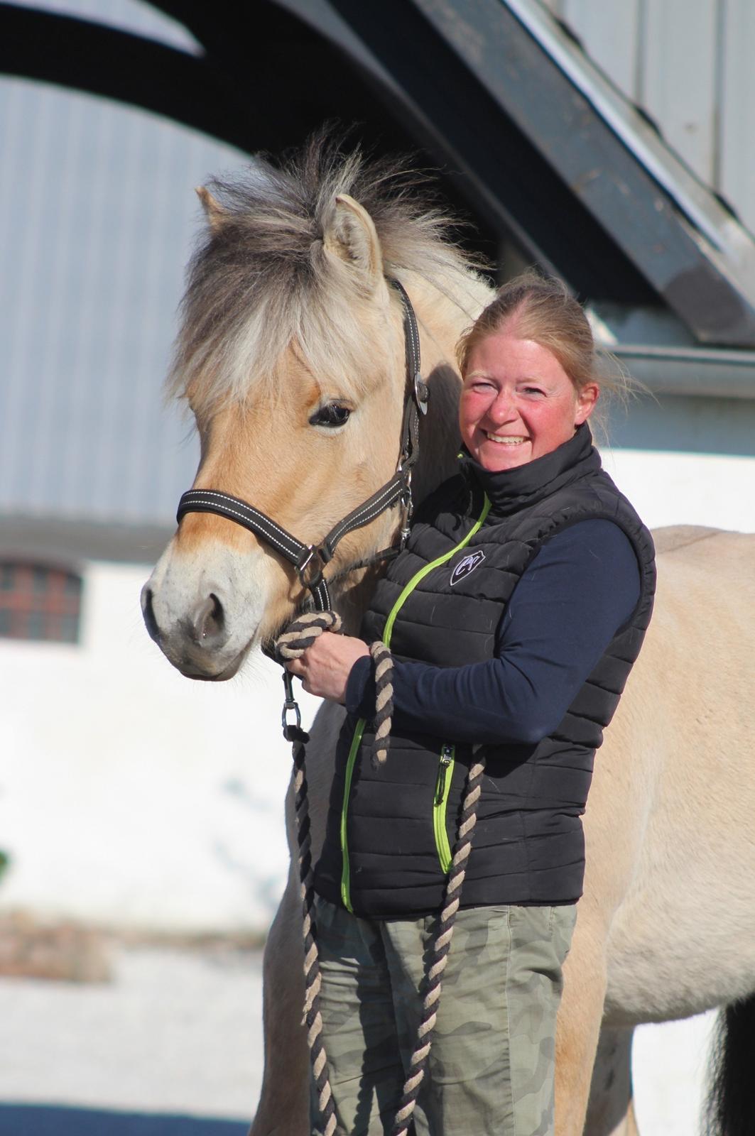 Fjordhest Caïx kraghede billede 3