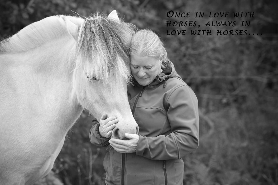 Fjordhest Caïx kraghede billede 13