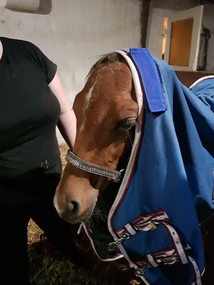 DSP Bjerring's trouble SPH 252 billede 42