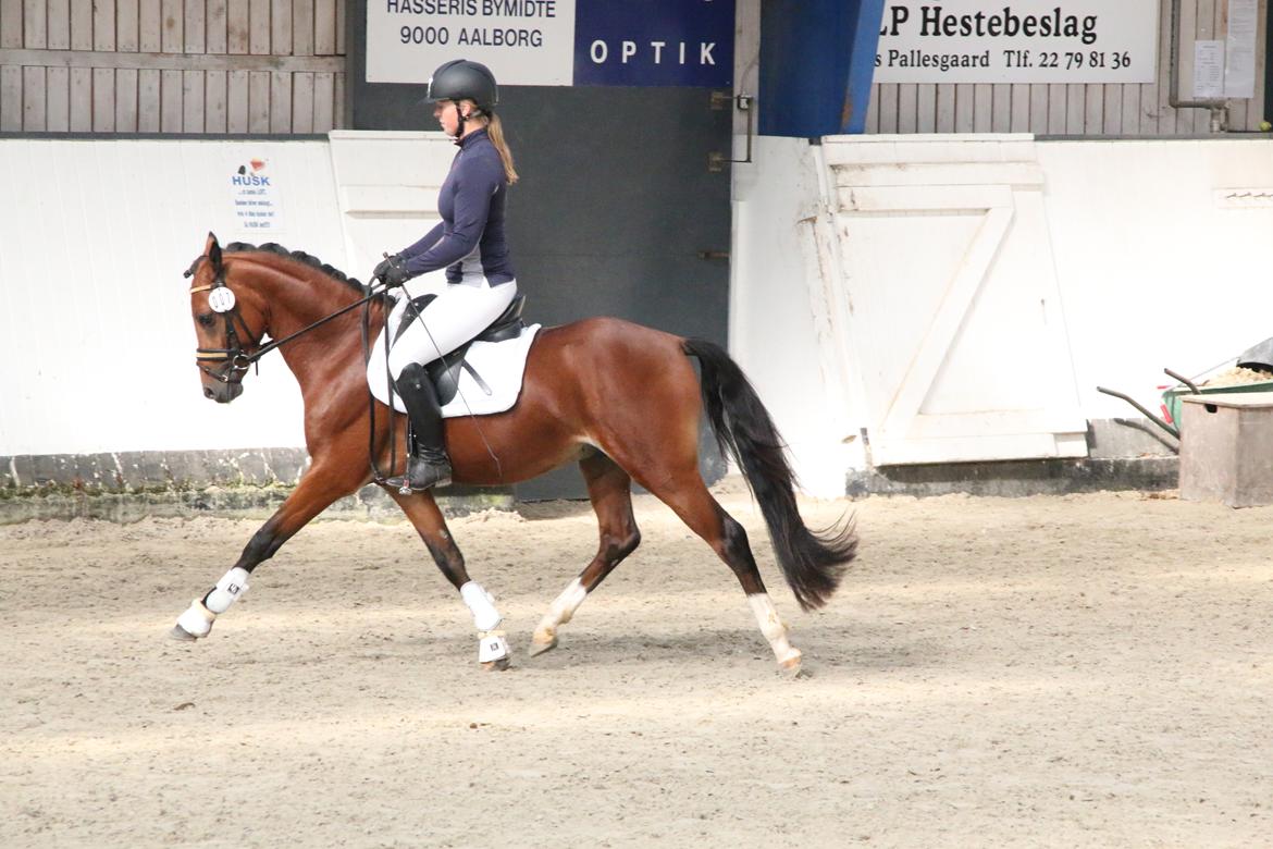 DSP Bjerring's trouble SPH 252 billede 9