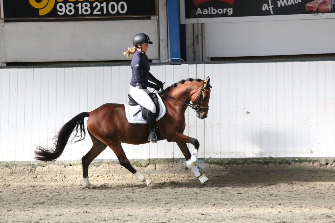 DSP Bjerring's trouble SPH 252 billede 12